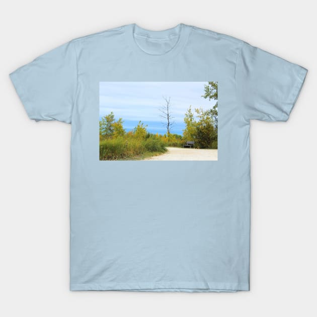 Nature Path No.1 T-Shirt by MaryLinH